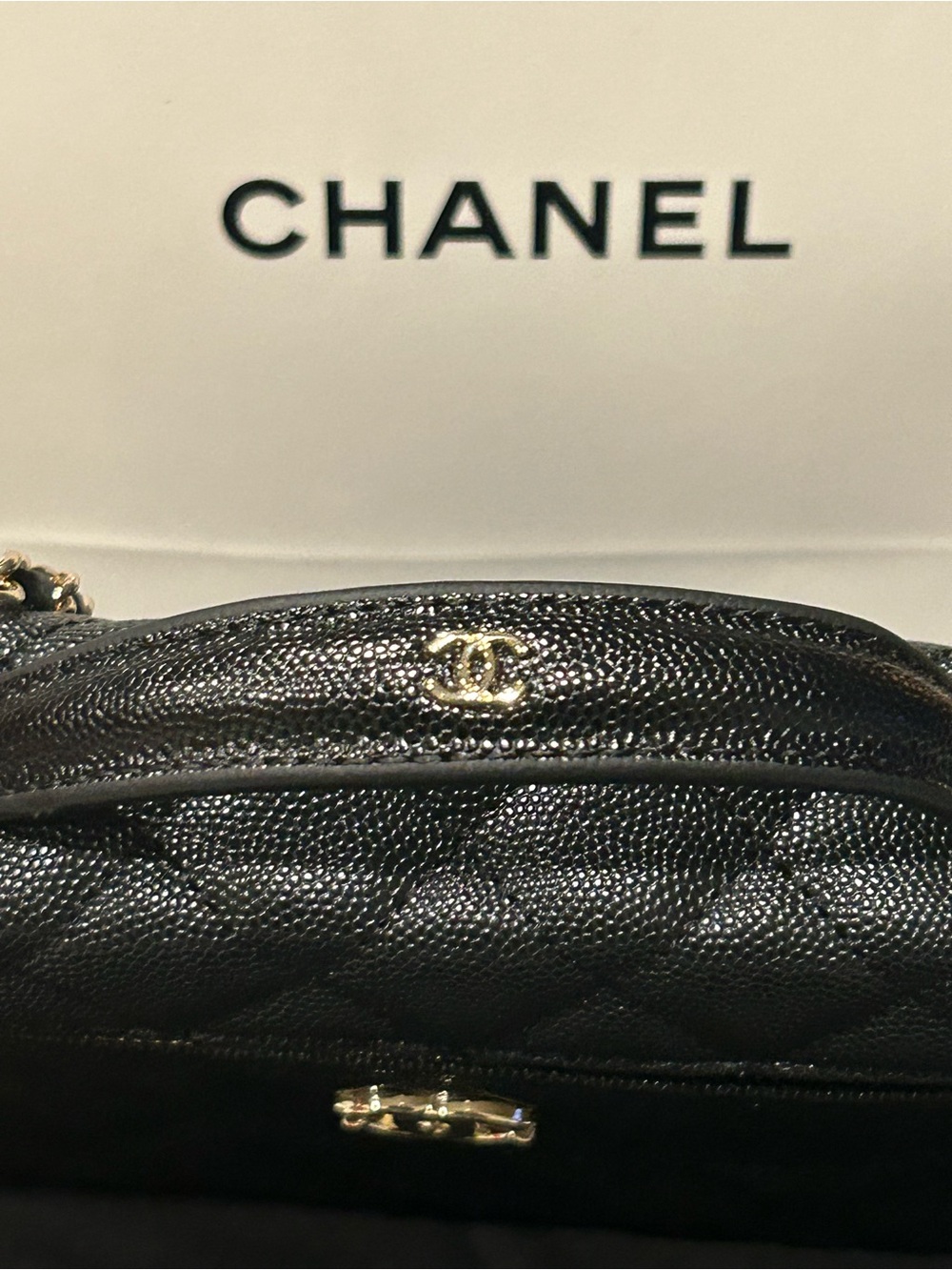 Chanel Quilted Leather Vanity Crossbody Bag in Black VIP GWP - Picture 9 of 14